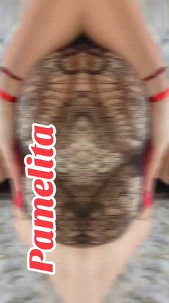 Pamelita - Foto 412dadd7-7c35-4cc1-81fa-1c59fcba35f7