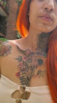 Michel - Foto 62c9fe56-2e85-4995-b81b-b0475245b0eb