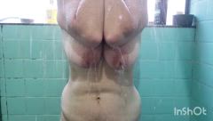 Camelia - Foto 6339681b-a1b4-4855-839e-215999d32db0