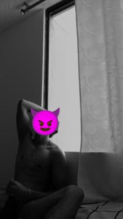 Noah - Foto 76ee9447-10ce-4e81-873f-f1894e290c03