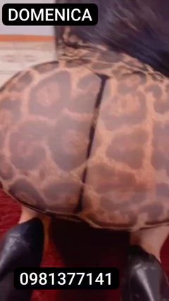 Conejitas Insaciables - Foto 77321469-e811-409d-82c9-f6ec74211705