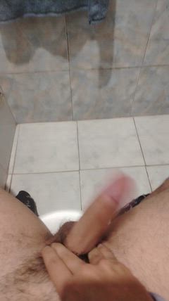 Alexander - Foto 86907f7c-cf9d-4703-9f09-19c58a9fd1c1