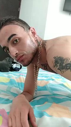 Apolo - Foto 885d15ffcc59498db568fff306ae0e81