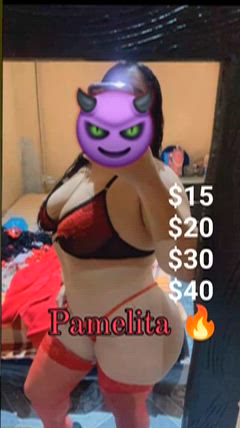 Pamelita - Foto 9c8bce6e-55f8-4908-a207-492355caed9d