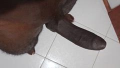 Andrew M - Foto 9ddf7a55-926f-47b7-b04b-4fcb70c911bd