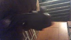 Tony - Foto b8cf3e1a-7fbd-411b-a617-a09589848a50