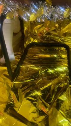 Daniela Gomez - Foto c7d74c67-2789-4157-8c57-c68460180dea