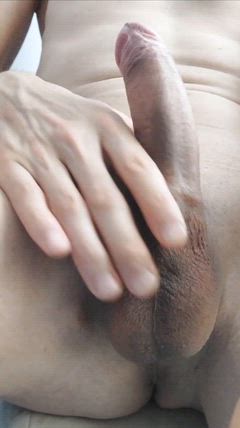 Felipe - Foto c7da2f0f-2de3-443d-8591-aa6fbc458853