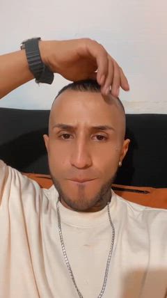 Apolo - Foto d85bc460-1b8c-40a1-a88f-c3cd465a95d6