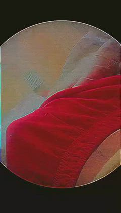 Alexis - Foto e03361fb-a0c2-4c6f-b6a1-117c8cc036a2