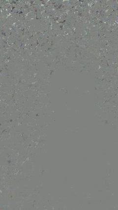 Daniel - Foto e7d40a2e-695a-4ec8-a137-eb778500ef5a