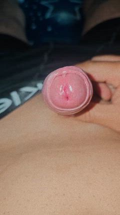 Aventuras Y Complaciente - Foto ecefdd2b-d7c2-4b3f-9330-bba138e01158