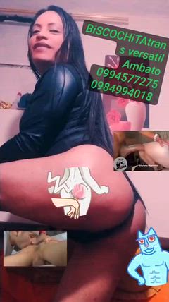 Biscochitatrans - Foto ef353465-4ad9-422d-b4b5-b362382872f7