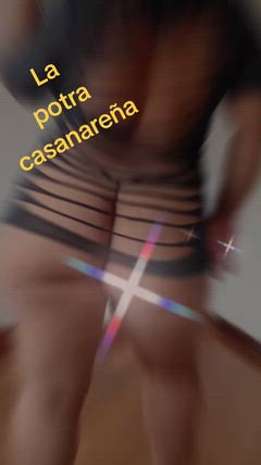 Dalila - Foto f2334b0e-4126-48af-9f3c-c5d477a11215