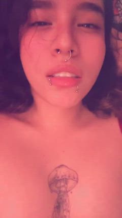 Loxosunt - Foto f339ecff-2724-48f0-a20d-ac61257836c5