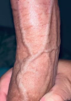 Juan Diego - Foto f56ef7f7-97af-4891-9d1e-8a299f3d795d