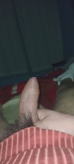 Rogelio - Foto f8d011bf-3044-409a-972c-b95a05c35f3c