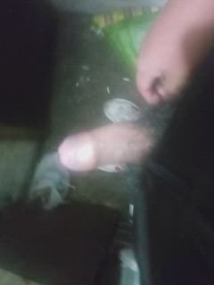 Elvis - Foto fa49b4c5-6ffd-4f93-9d74-56c48eb41a8d